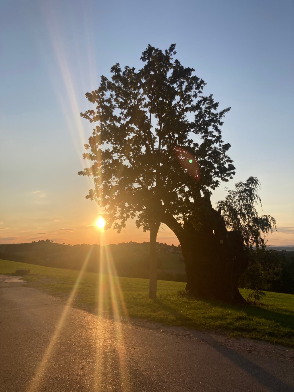 Imker Standschau – zu Gast bei Fam. Luger Groß&nbsp;Eben